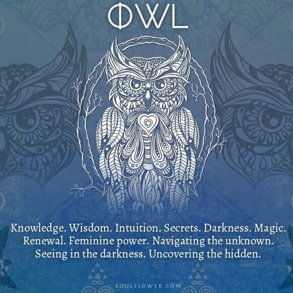 Silver Owl Ring Stainless Steel Statement Bird Biker Ring - Picture 4 of 13